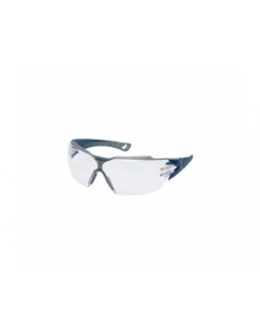 GAFA PHEOS INC CX2 9198.257