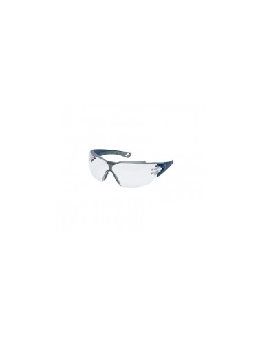 GAFA PHEOS INC CX2 9198.257