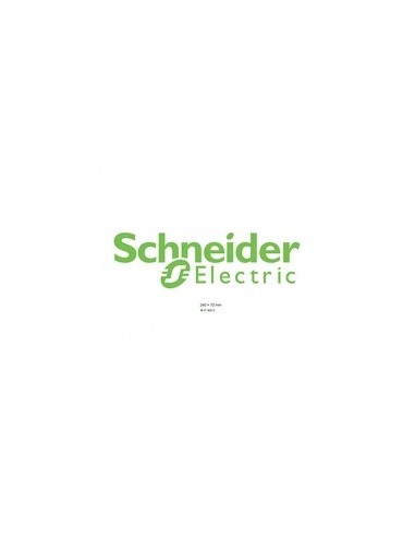 LOGO BOLSILLO VERDE SCHNEIDER